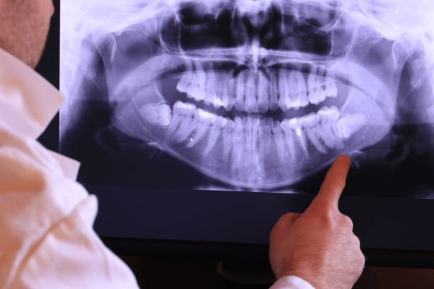 Best Emergency X-Rays and Diagnostics in Bells, TX